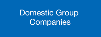 Domestic Group Companies
