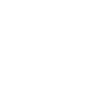 Domestic Logistics